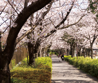総合レクリエーション公園イメージ